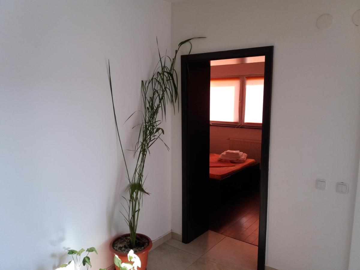 Apartament Kamino Năvodari Екстериор снимка